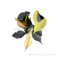 Everyday Tree Leaf Shaped Confetti for Party Decorations and DIY crafts